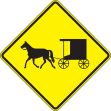 (HORSE AND BUGGY PICTORIAL)