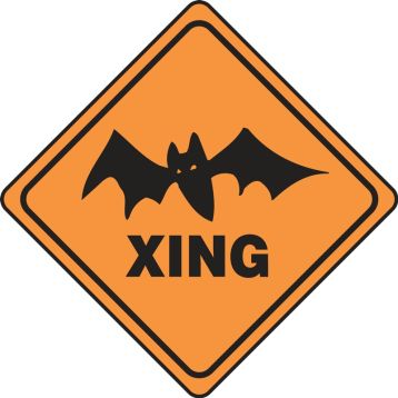 (PIC OF BAT) XING