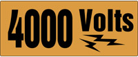4000 VOLTS (W/GRAPHIC)