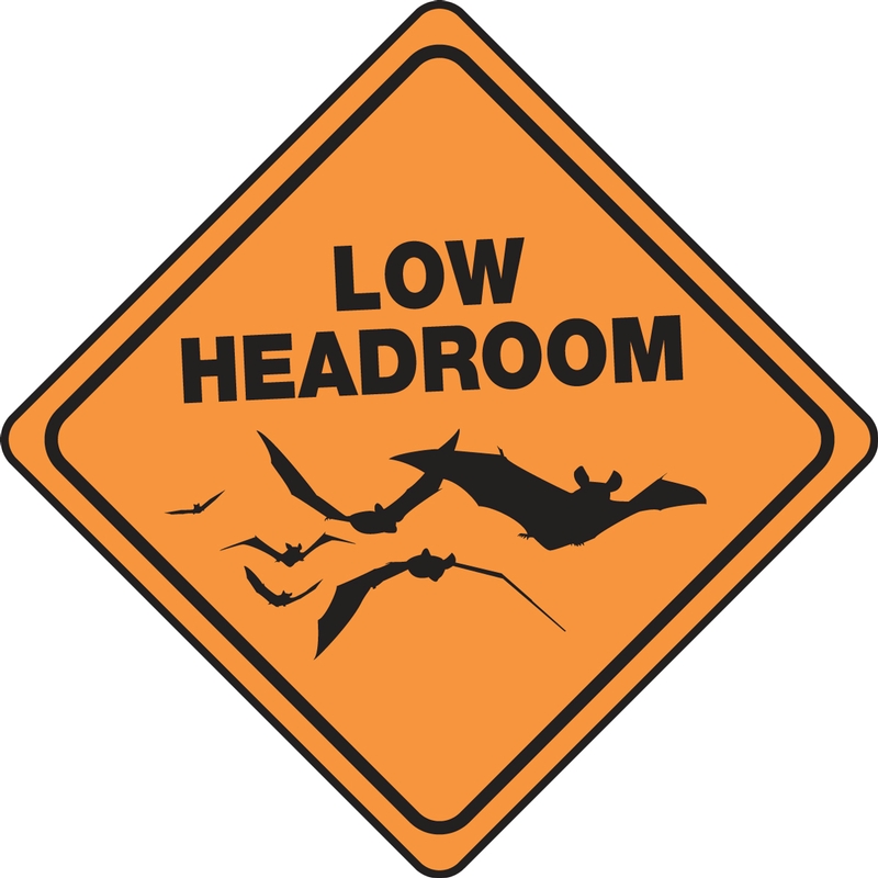 LOW HEADROOM (W/GRAPHIC-BATS)