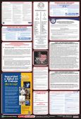 Posters: Combo State, Federal And OSHA Labor Law (Spanish)