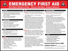 Safety Posters: Emergency First Aid - Instructions